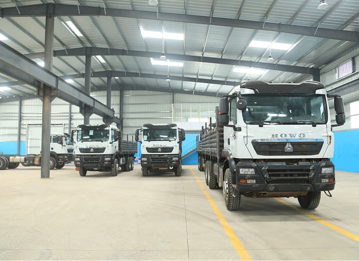 Section background
